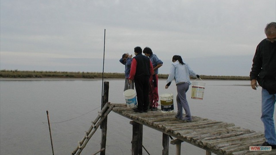 image 67